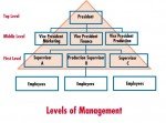 Lower Level Management Examples Management Levels in an Organization - MBA Knowledge Base