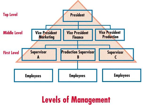 Management Levels in an Organization