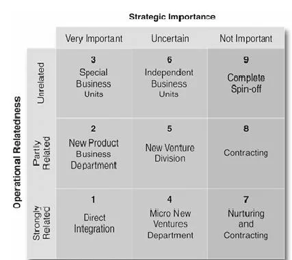 Corporate Entrepreneurship