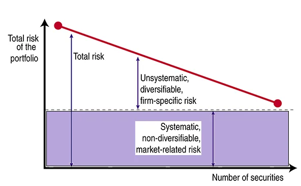 Risk and Return in Portfolio Investments