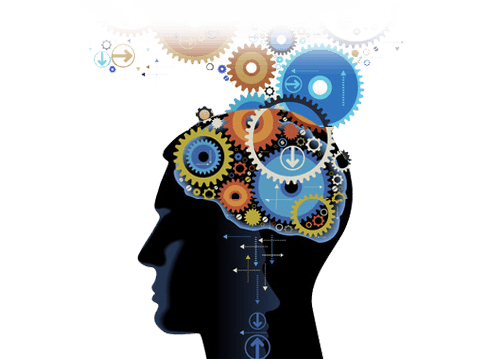 Introduction to Knowledge Management Systems (KMS)