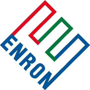 Case Study: The Enron Accounting Scandal