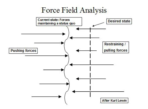 Managing Planned Organizational Change Process