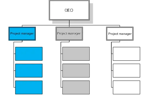 Project Organization Structure