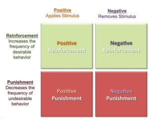 Theories of Learning - MBA Knowledge Base