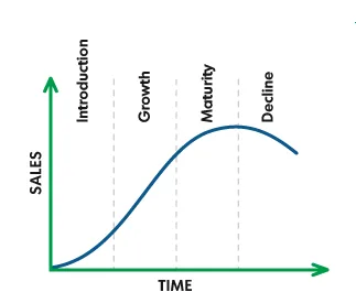 Strategic Implications of Business Life Cycle Analysis