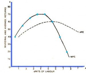 Samuelsonian Economics Laws of Returns in Economics - MBA Knowledge Base