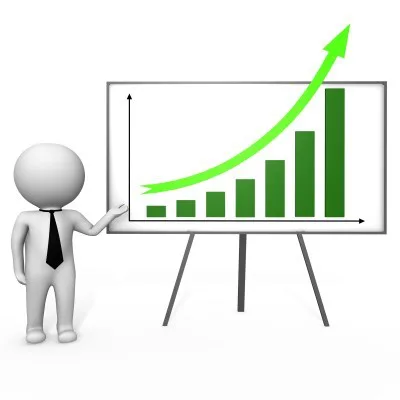 The Concept of Business Growth