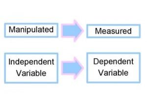 Research Variables - Dependent and Independent Variables - MBA ...