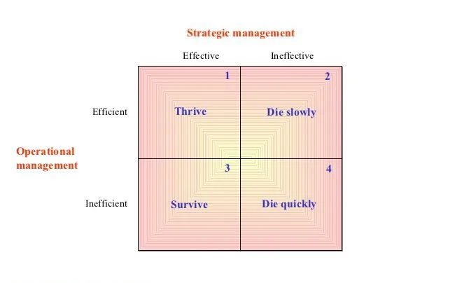 efficiency and effectiveness in management essay