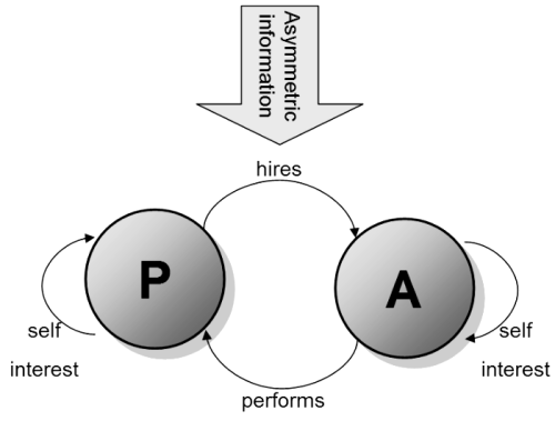 Strategies to Resolve the Principal Agent Problem