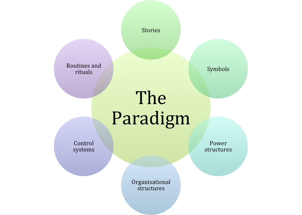 Johnson and Scholes Cultural Web Model of an Organization