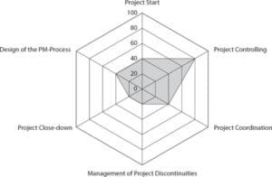 Web presentation of the project oriented organization - Roland Gareis Project Maturity Model
