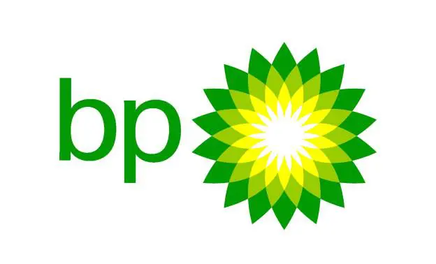 Case Study: Analysis of Performance Management at British Petroleum