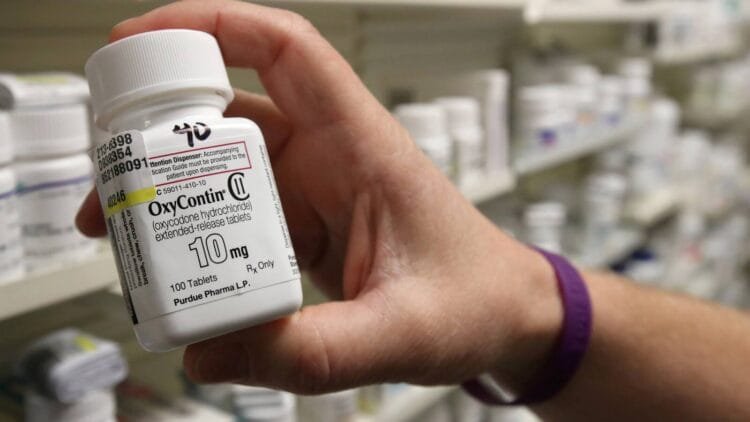 Case Study on Business Ethics: McKinsey Opioid Scandal