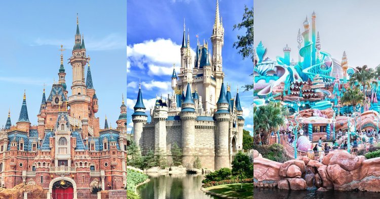 Case Study of Disneyland:  An Intermediary Between Diverse Cultures