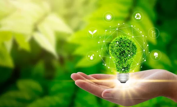 The Relationship between Sustainability and Innovation