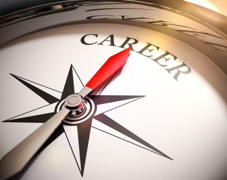 The Boundaryless Career: Modern Contemperory Perspective on Career